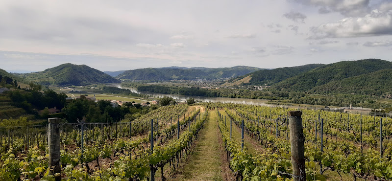 Au Rythme des Vignes