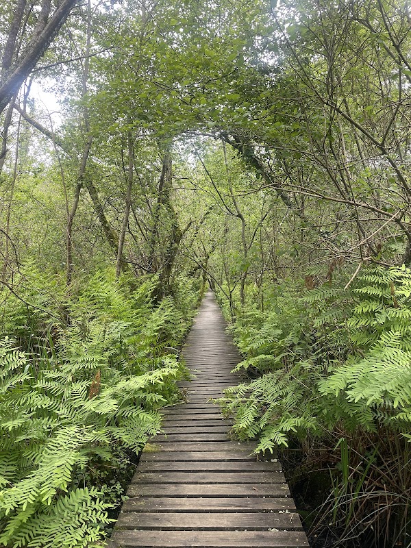 Réserve Naturelle de l'Étang Noir