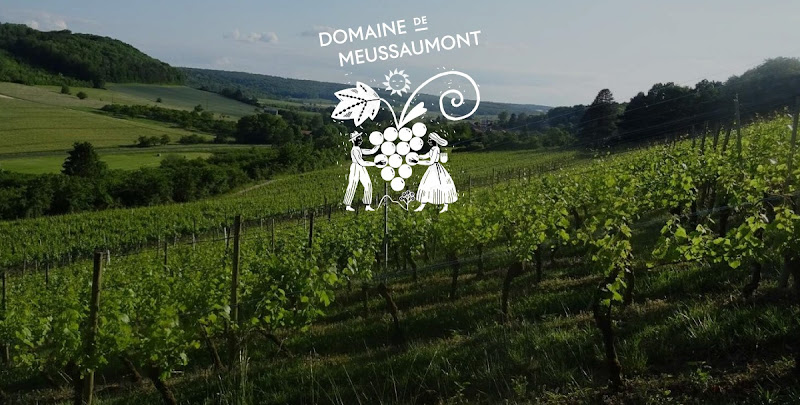Domaine de Meussaumont - Vin des Côtes de Meuse