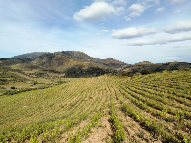 Domaine du Traginer