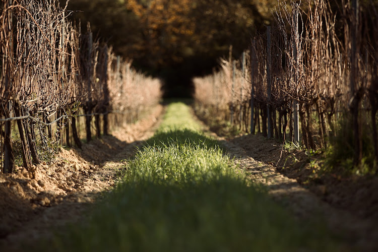 Château Les Preyres - Vignoble et restaurant dans le Var