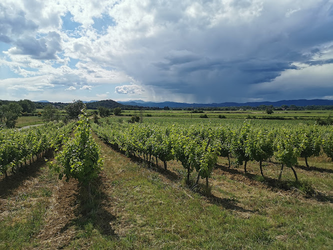 Domaine des Arnasseaux