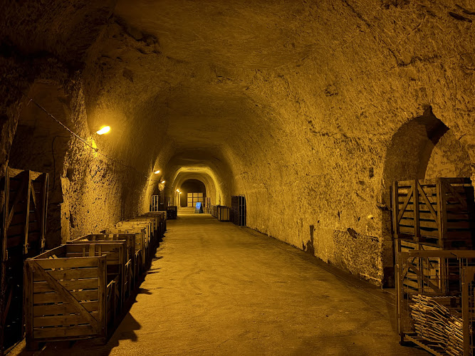 Champagne & Caves LOUIS BALINCOURT