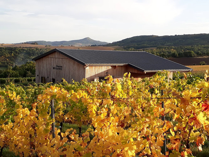 Domaine Miolanne - Vignoble bio & Bar à vin éphémère
