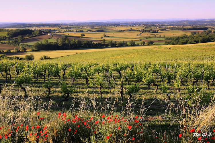 Château Lacroux