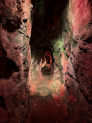 Caves de roquefort societe