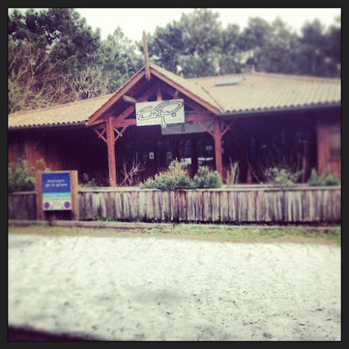 Surf Club de la Presqu'île