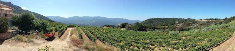SARL Clos d'Alzeto