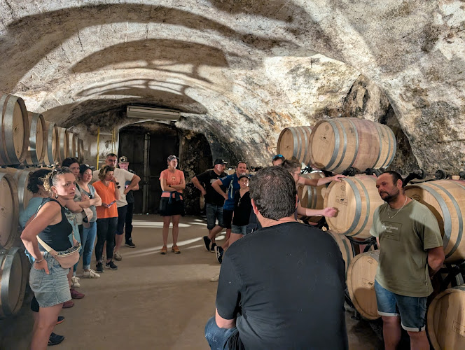 Wine and Ride Condrieu - visite des caves à vélo