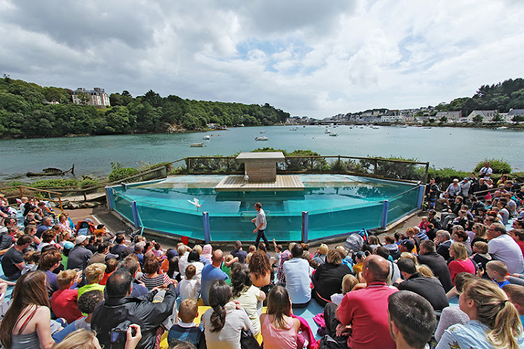 L'Aquashow