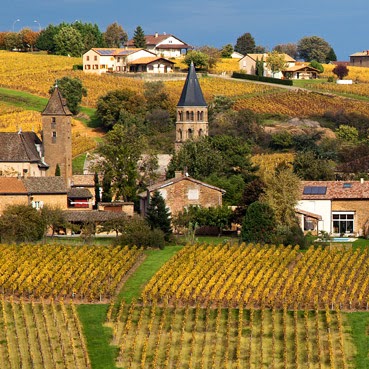 Ecole Vins en Nord – Cours d’œnologie Lille