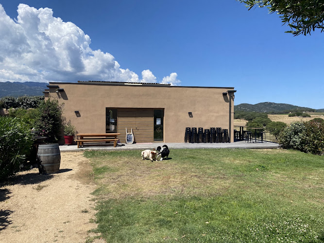 Domaine de la Murta