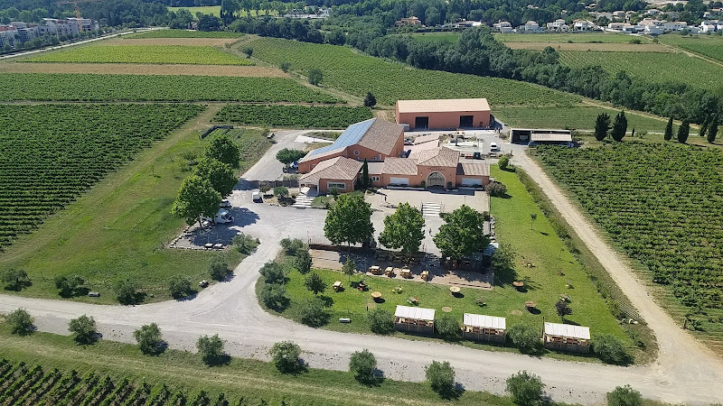 Domaine Massillan - Vignoble près de Montpellier