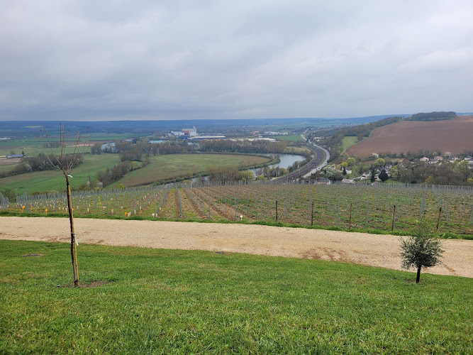 Domaine des Sénons