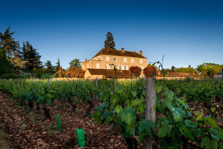 Domaine de la Folie