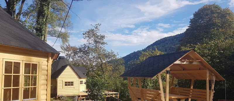 NatureZenKota