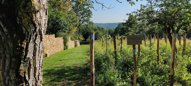 Vigne Envie