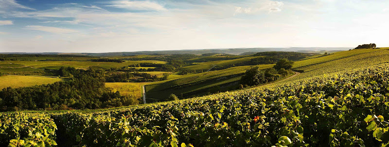 Le Manoir Champagne Devaux