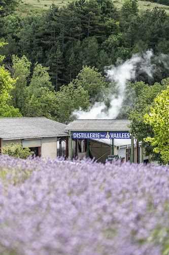 Distillerie des 4 Vallées, distillerie de lavande