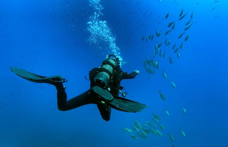 AQUADOMIA Formation plongée