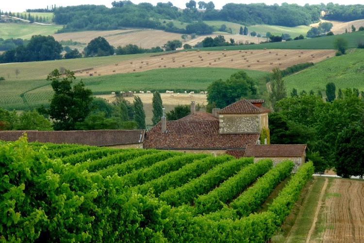 Domaine Entras