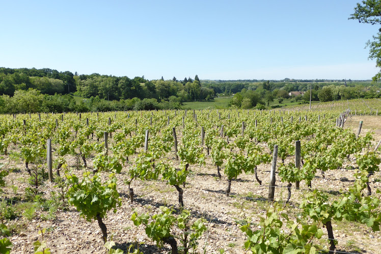 Billereau Dominique Clos des Cortillaux