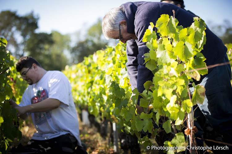Poupat Et Fils SCEA