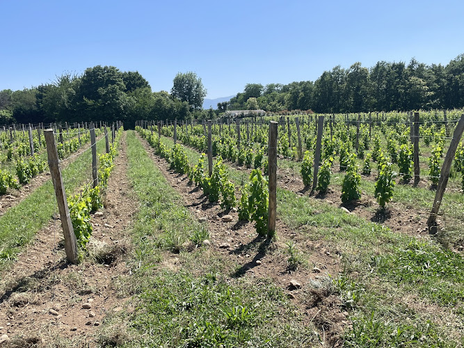 Domaine de Longpré
