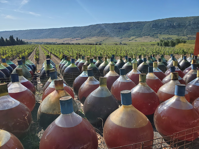 Catalan Wine Escape