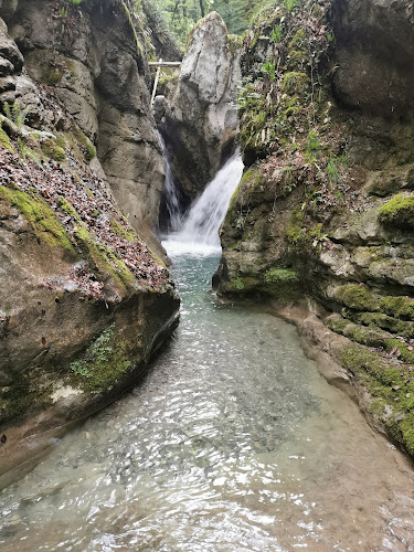 Canyon Angon