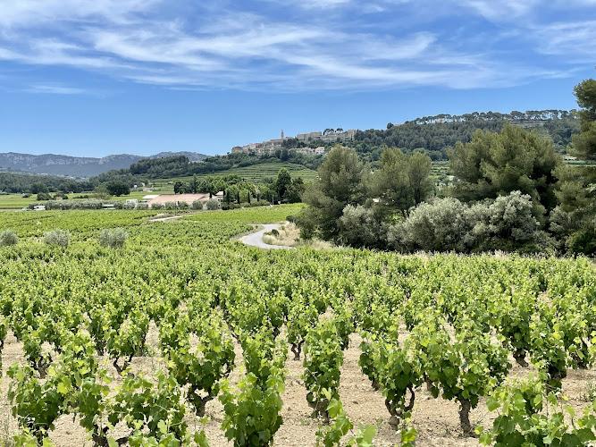 Domaine Lou Capelan