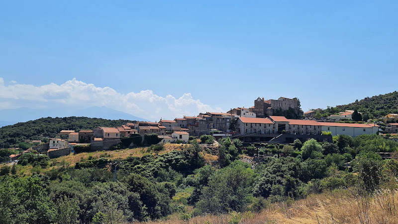 Catalan Wine Escape