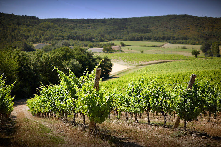 Château Bizard