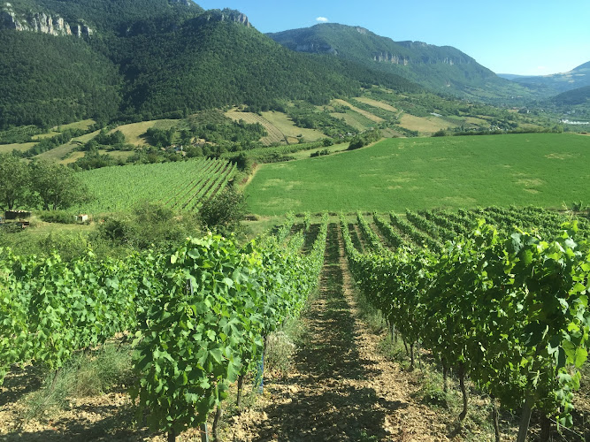 Domaine du Vieux Noyer