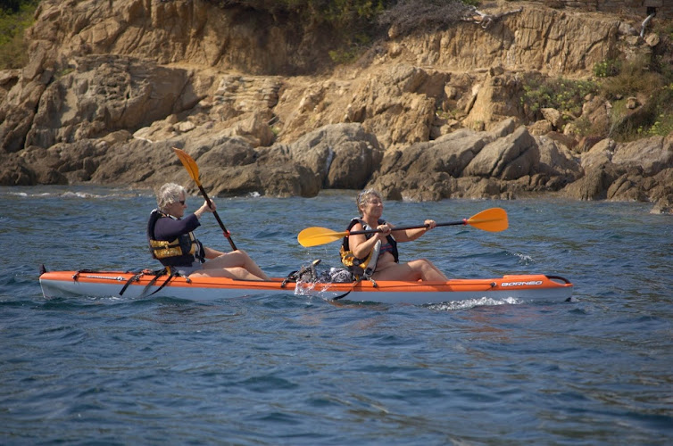 Chez Mister Paddle