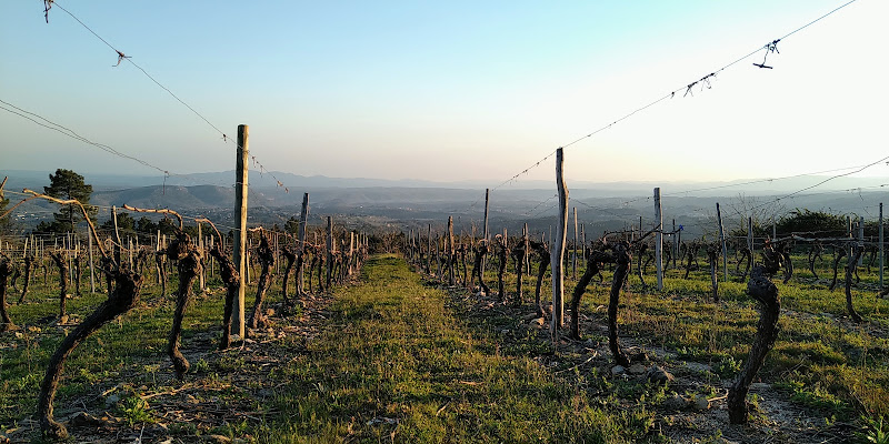 Domaine du Père Léon