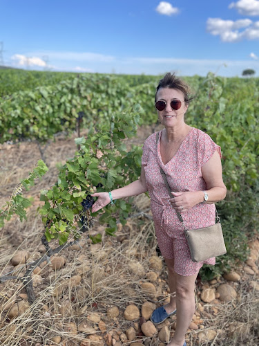 Domaine des Romarins