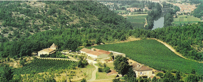 Château Vincens - Vignoble