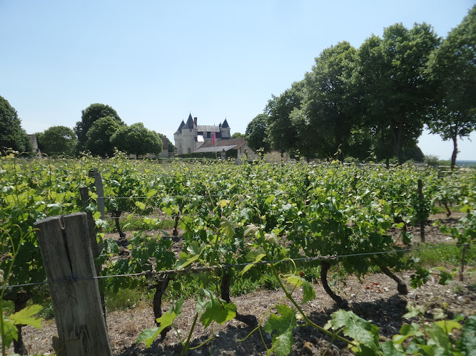 Pascal Avril - Domaine de Touraine - vins bio de Chinon et Touraine