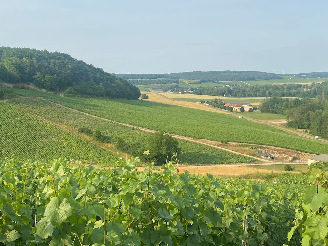 Champagne Daniel Pétré & fils