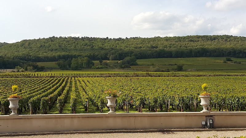 Château Marsannay
