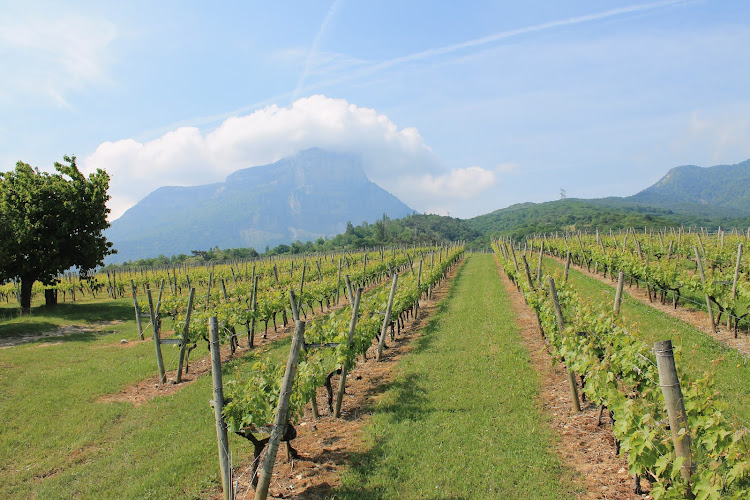 Domaine DUPRAZ