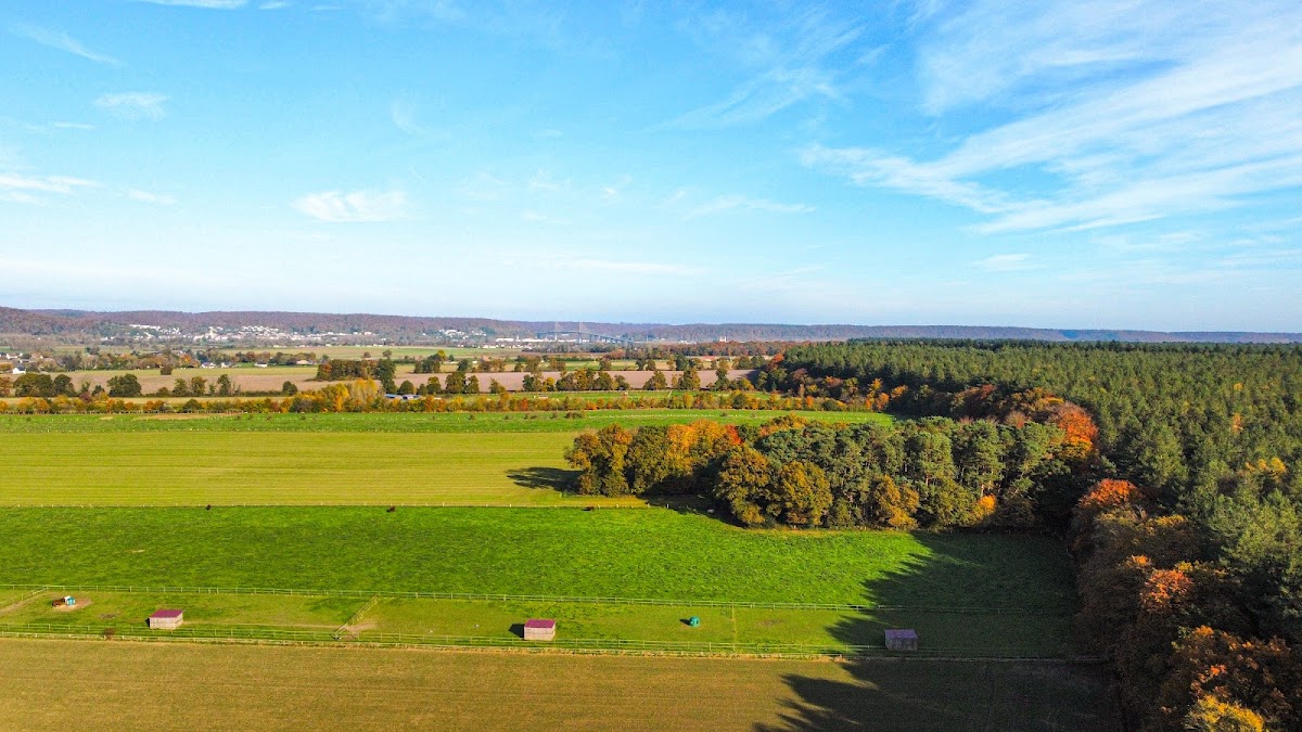 Forêt de Brotonne