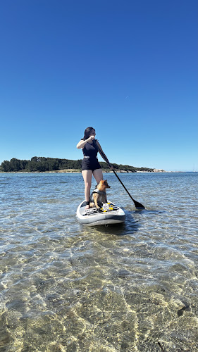 location-cours paddle, kayak sur Six-fours