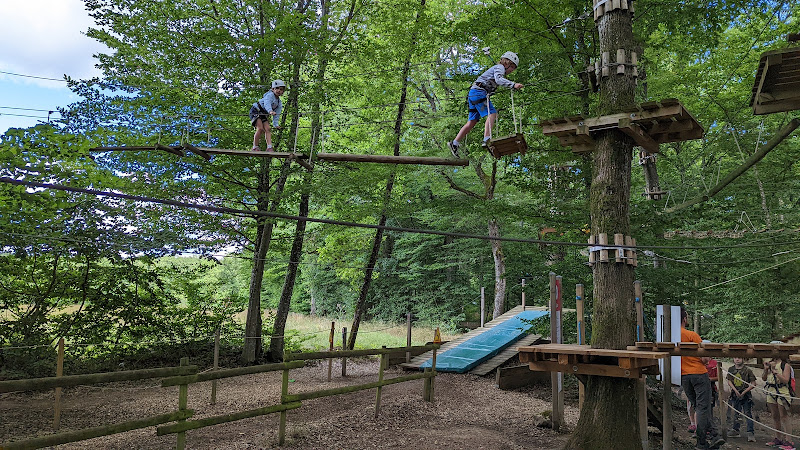 Acrogivry Les Aventures en Forêt