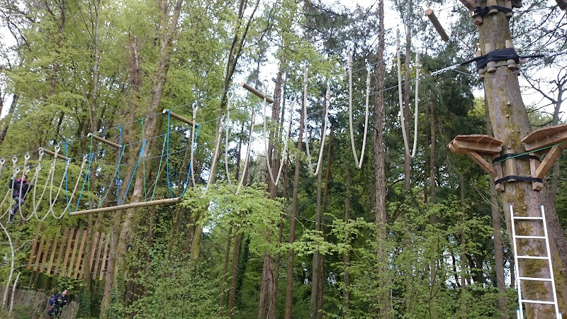 Adrénature Parc Aventure - Accrobranche - Trottinettes électriques tout terrain - Escape Game - Snack - Melgven Finistère sud
