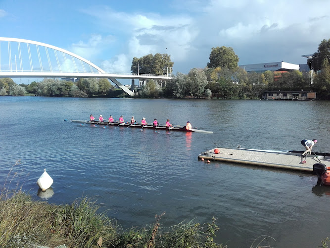 Angers Nautique Aviron
