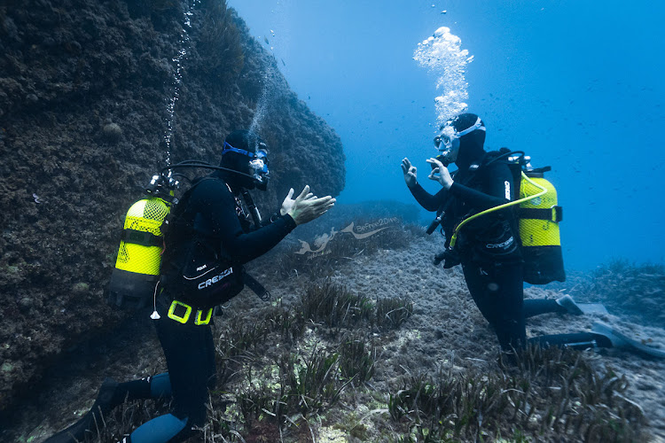 BeFreeToDive