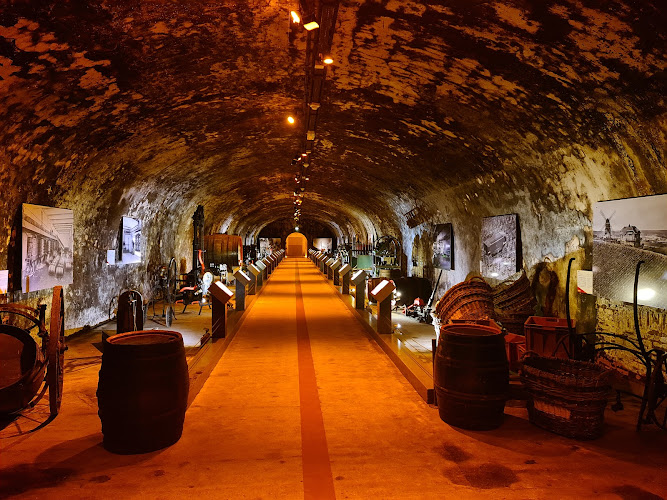 Maison Mumm Reims