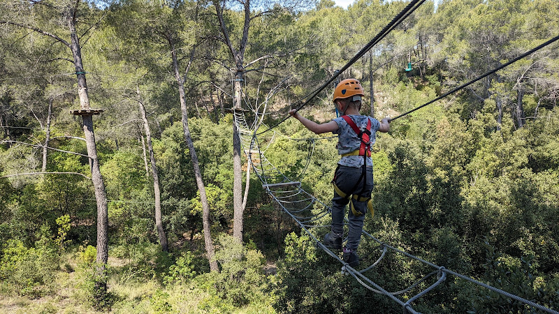 Le Royaume des Arbres - Le Castellet